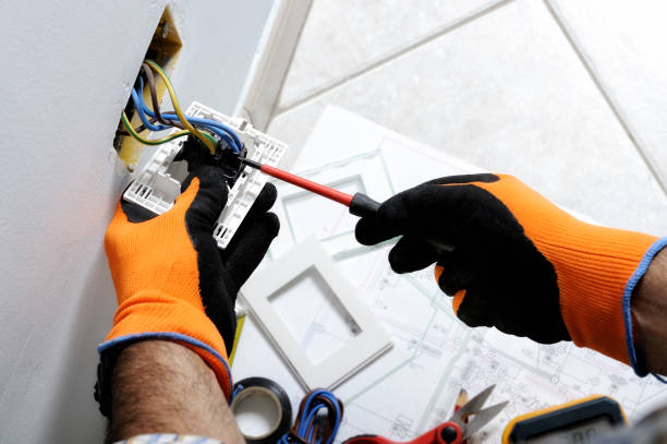 Best Electrical Panel Upgrades  in Des Plaines, IL